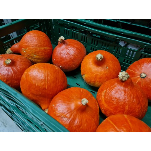 Kürbis Hokkaido orange WIR 800-1200g | 8-10St