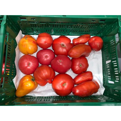 Fleischtomaten samenecht Landsorten-Mix WIR