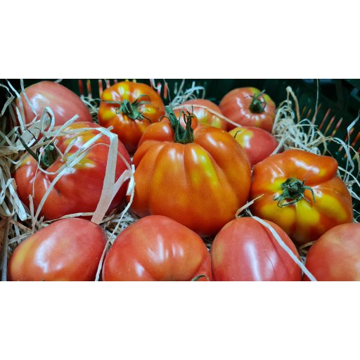 Fleischtomaten Ochsenherz samenecht