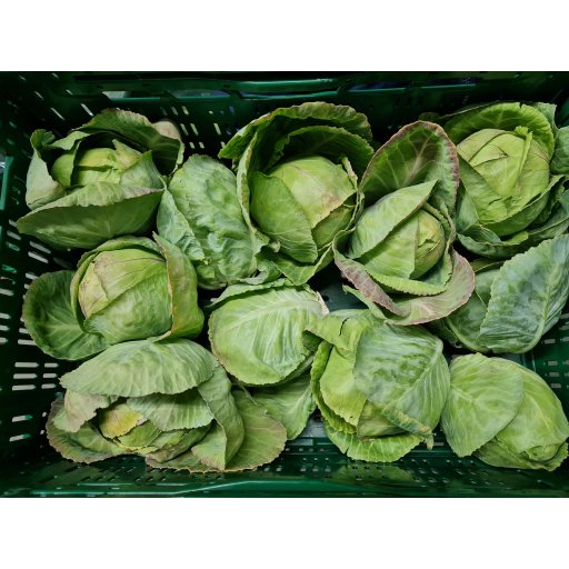 Weißkohl Nagels frühweiß WIR 800-1000g | 6-9St