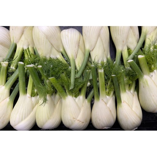 Knollenfenchel ca.200-400g