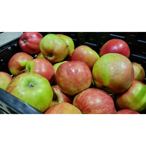 Apfel Gravensteiner +60mm