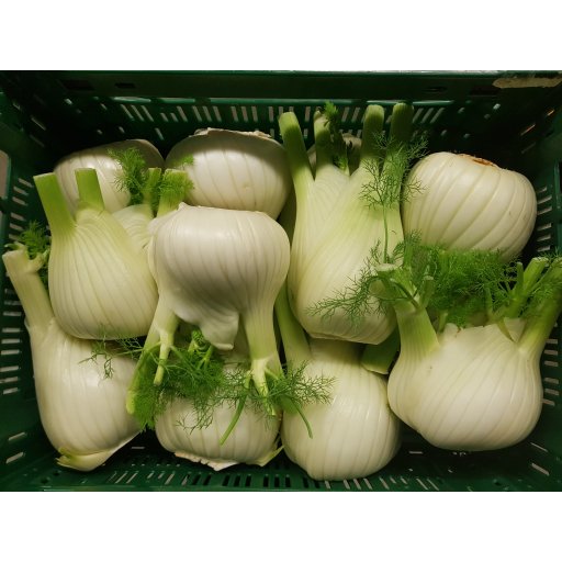 Knollenfenchel ital. +200g