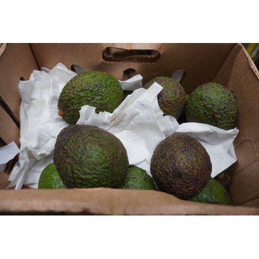 Avocado Hass Uganda KIPEPEO ca. 8-12St