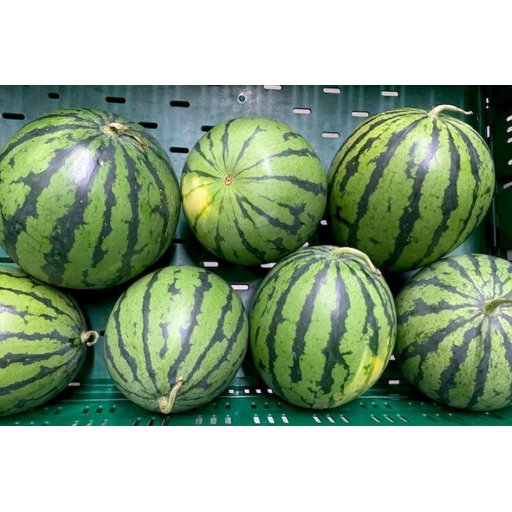 Mini-Wassermelone WIR 1200-2500g | 6-12St
