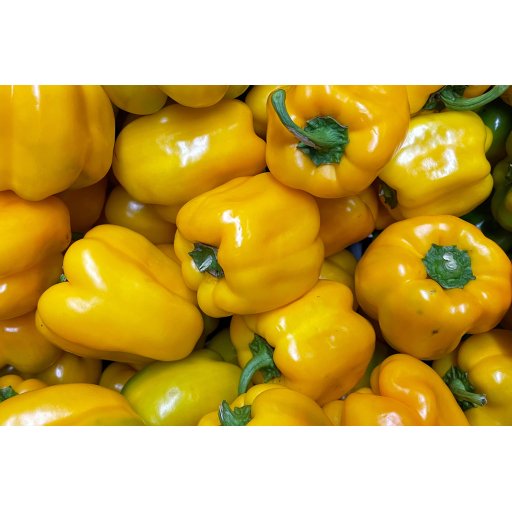 Paprika gelb - Ausfärbung 60-80% | 70-90mm