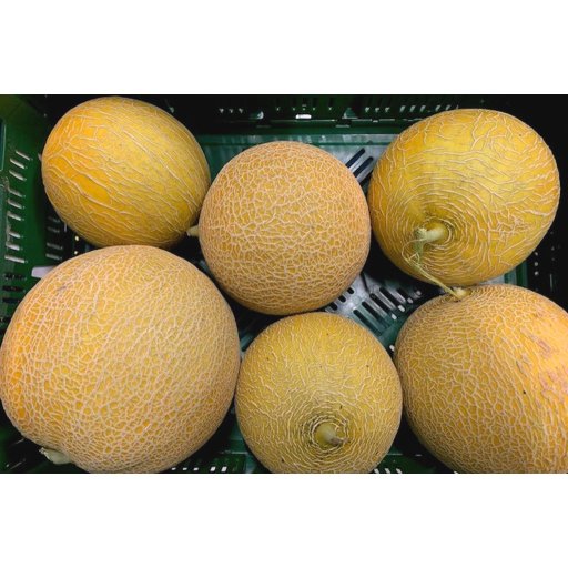 Melone Galia weißfleischig WIR 1000-1400g | 4-6St