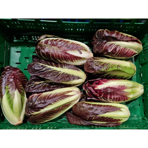 Radicchio rot Trevigiano WIR 400-600g | 5-8St